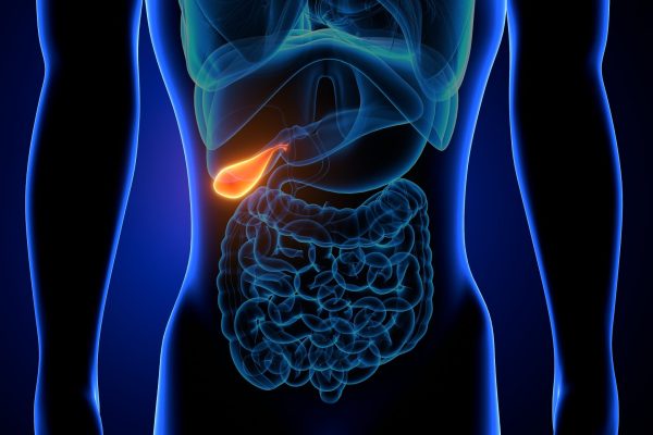 AdobeStock_387121642-scaled